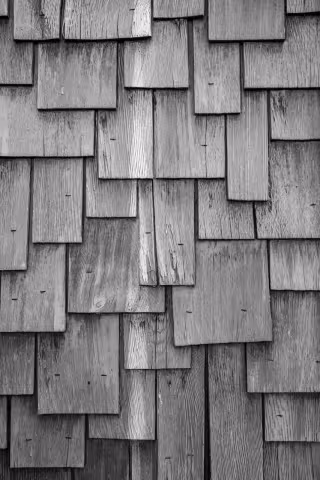 Fresh exterior siding and trim painting on a GTA home